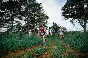 BIB: 
                            <button type="button" onclick="openModal(25997388)" class="btn btn-primary btn-sm float-right btn-popup" data-toggle="modal" data-target=".modal-high-quality">
                        <i class="fas fa-shopping-cart"></i> Add to Cart
                    </button>
                                            <button type="button" onclick="isThisMe(25997388, true)" class="btn btn-success btn-sm float-right btn-popup btn-isme hidden" data-toggle="tooltip" data-placement="bottom" title="นี่คือรูปของคุณใช่ไหม คลิกที่นี่เพื่อเอาเข้าอัลบั้ม">
                        <i class="fas fa-plus"></i> Add to album
                    </button>
                    <button type="button" onclick="isThisMe(25997388, false)" class="btn btn-warning btn-sm float-right btn-popup btn-isnotme hidden">
                        <i class="fas fa-ban"></i> Remove from album
                    </button>